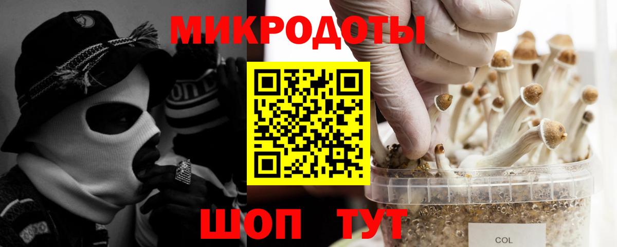 Фрязино  Галлюциногенные грибы Cubensis  Вход с VPN 