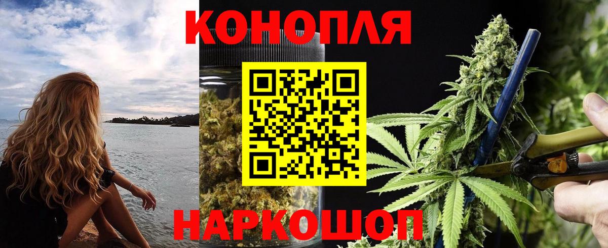 Бошки Шишки VHQ Фрязино